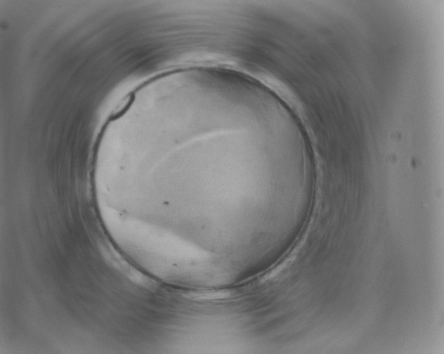 X0000076381296200610271518