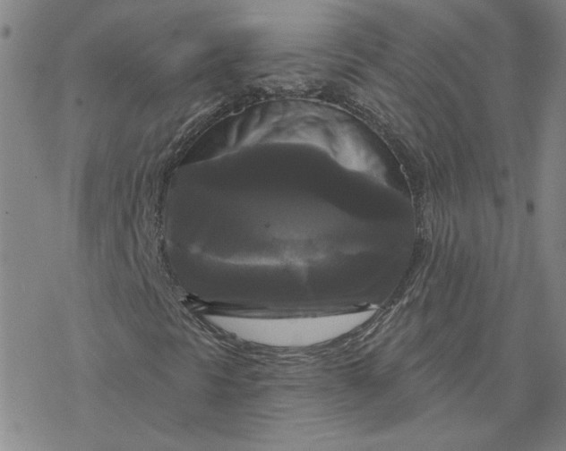 X0000076381297200610271517