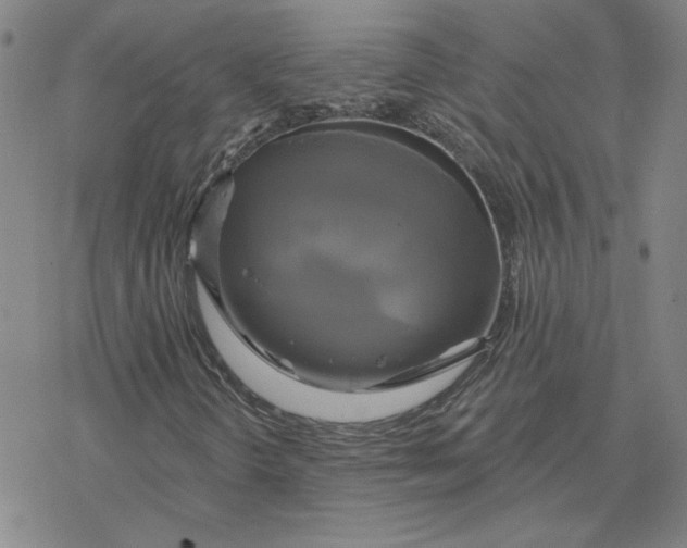 X0000076381298200610271517