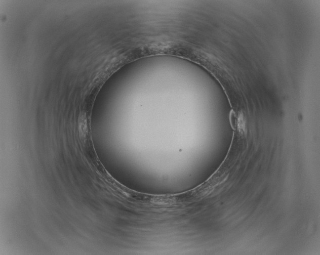 X0000076381299200610271518