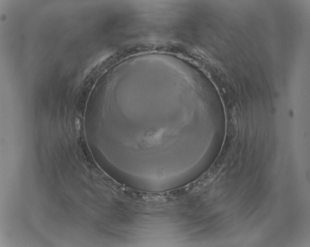 X0000076381302200610271518