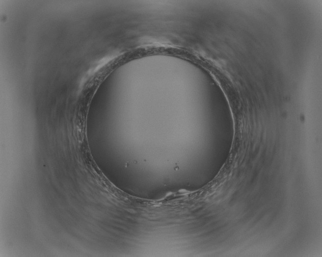 X0000076381303200610271518