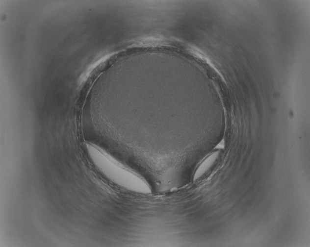 X0000076381304200610271518