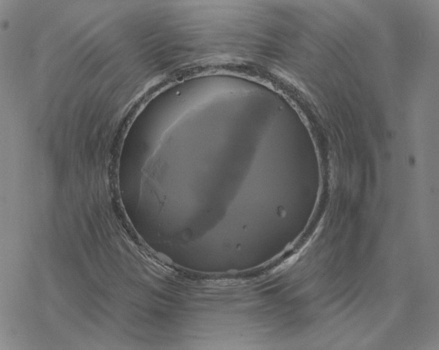 X0000076381305200610271518