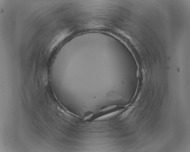 X0000076381306200610271518