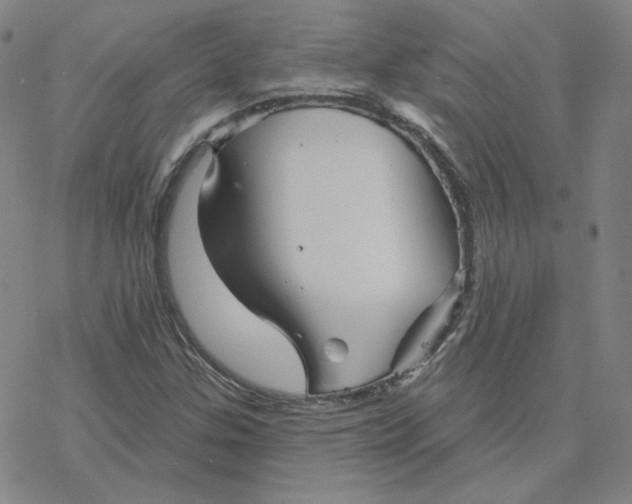 X0000076381307200610271518