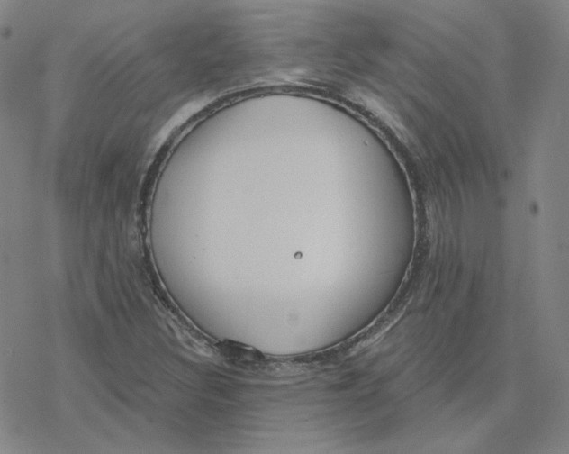 X0000076381308200610271518