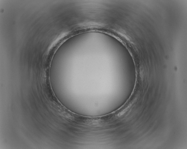 X0000076381309200610271518