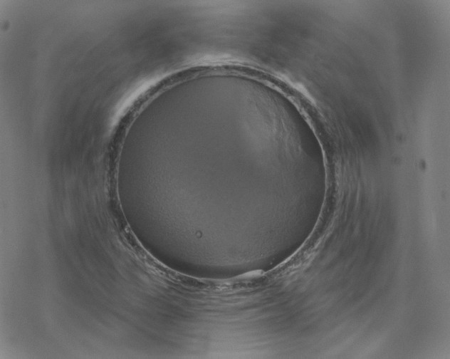 X0000076381311200610271518