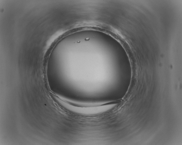 X0000076381312200610271518