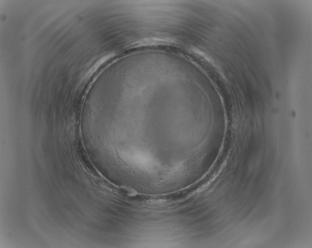 X0000076381313200610271518