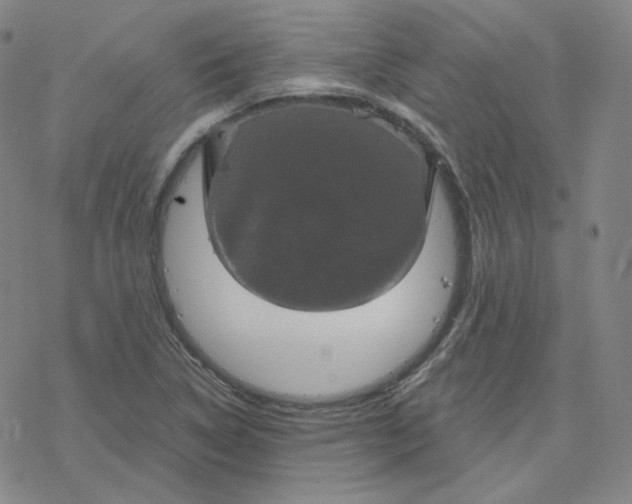 X0000076381314200610271518