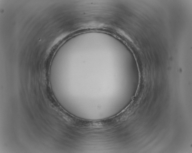 X0000076381315200610271518