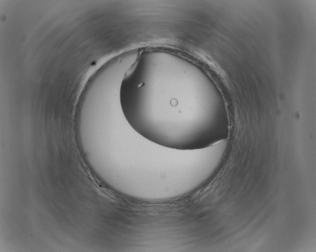 X0000076381316200610271518