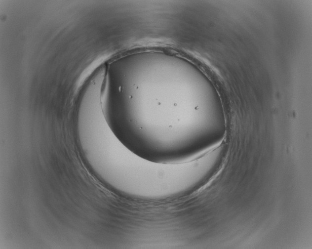 X0000076381317200610271518