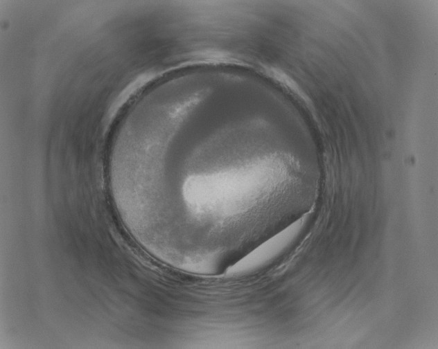 X0000076381318200610271518