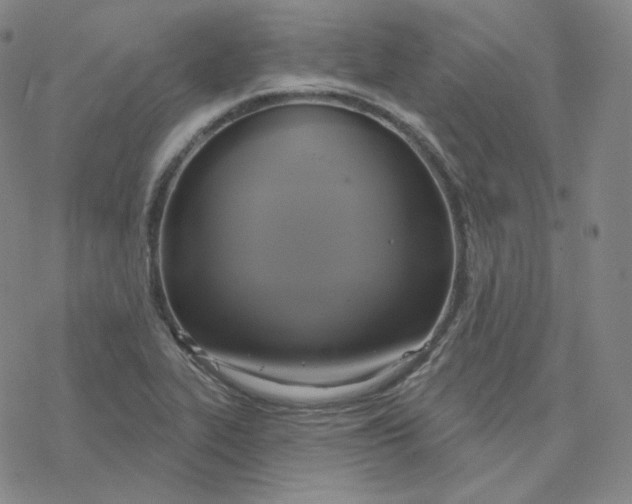 X0000076381319200610271518