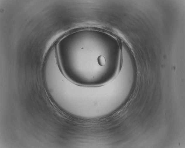 X0000076381320200610271518