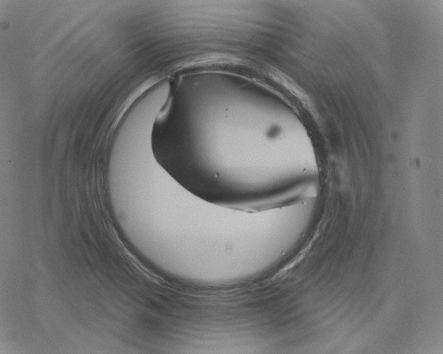 X0000076381321200610271518