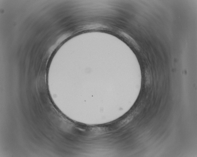 X0000076381322200610271518