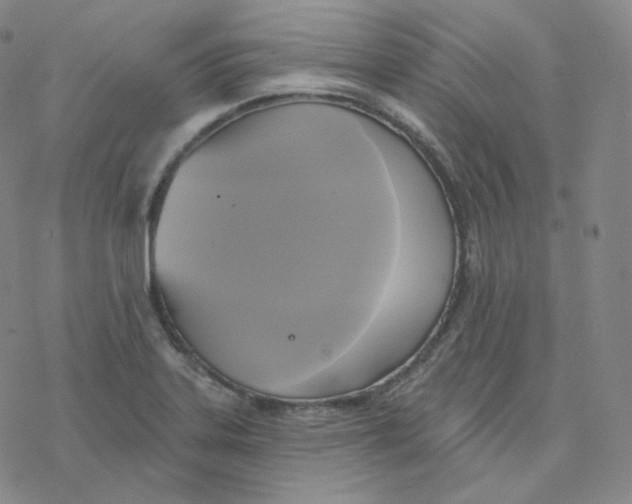 X0000076381323200610271518