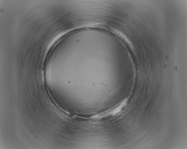 X0000076381324200610271518