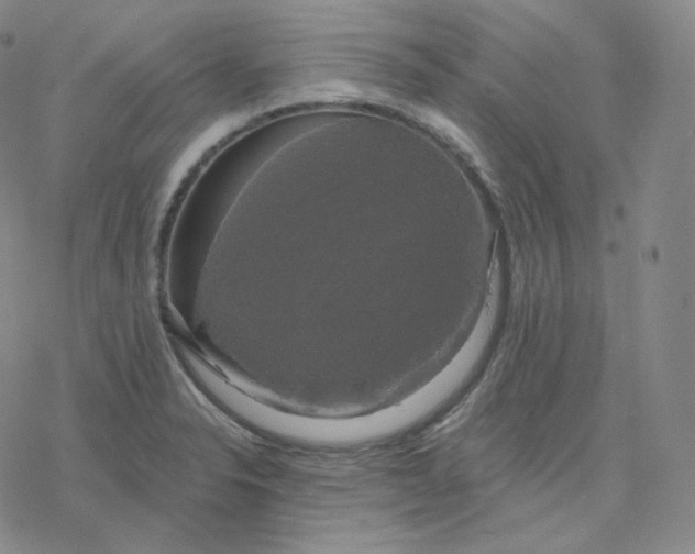 X0000076381326200610271518