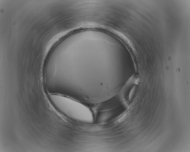 X0000076381327200610271518