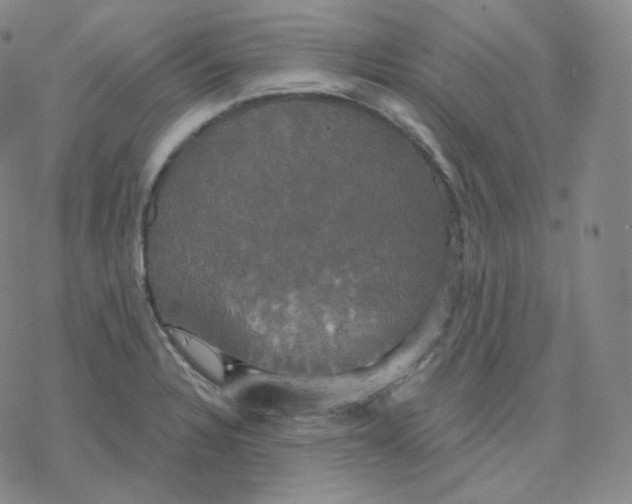 X0000076381328200610271518