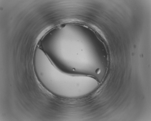 X0000076381330200610271518