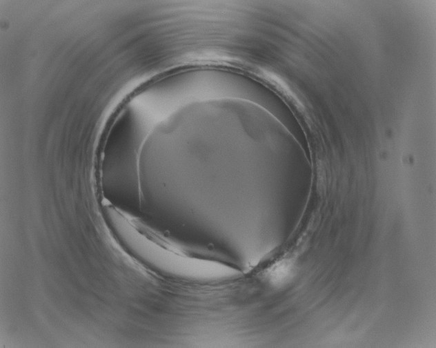 X0000076381331200610271518