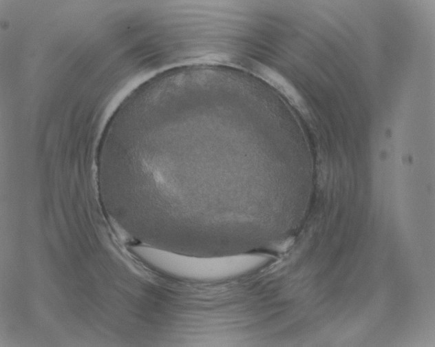 X0000076381332200610271518