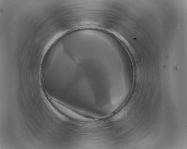 X0000076381333200610271518