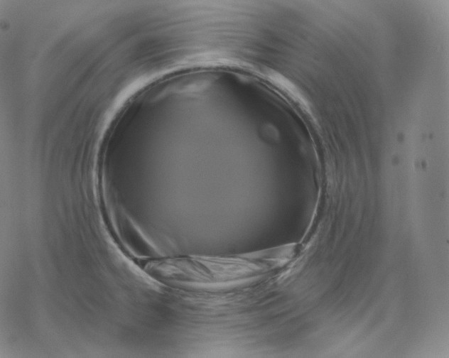 X0000076381334200610271518