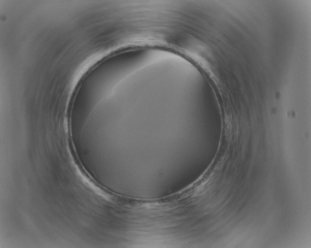 X0000076381335200610271518