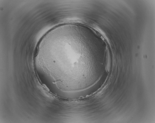 X0000076381336200610271518