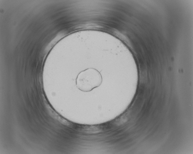 X0000076381338200610271518