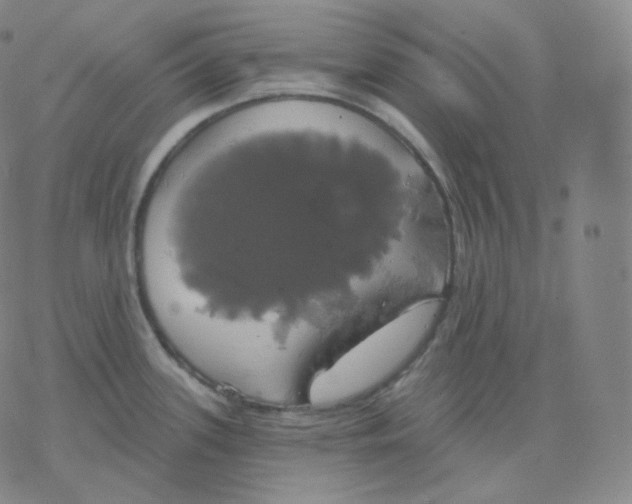 X0000076381339200610271518