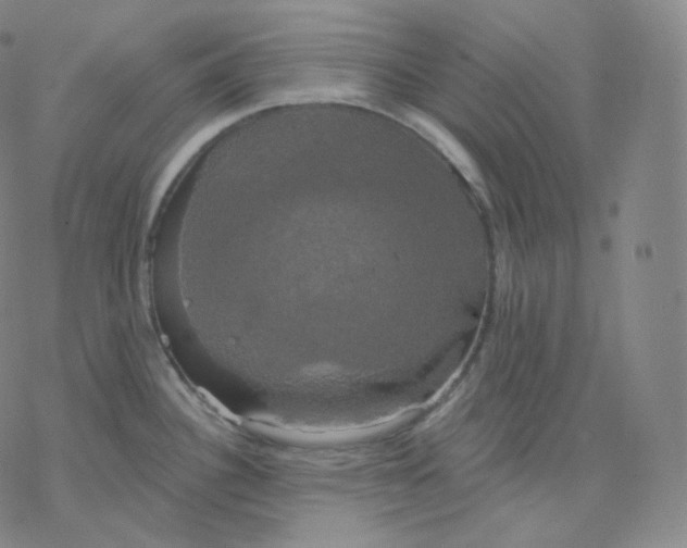 X0000076381340200610271518