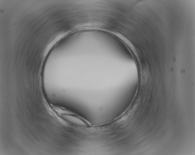 X0000076381341200610271518