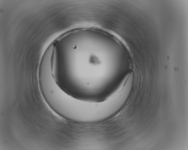 X0000076381343200610271518