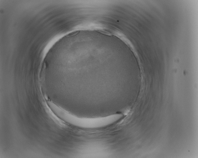 X0000076381344200610271518