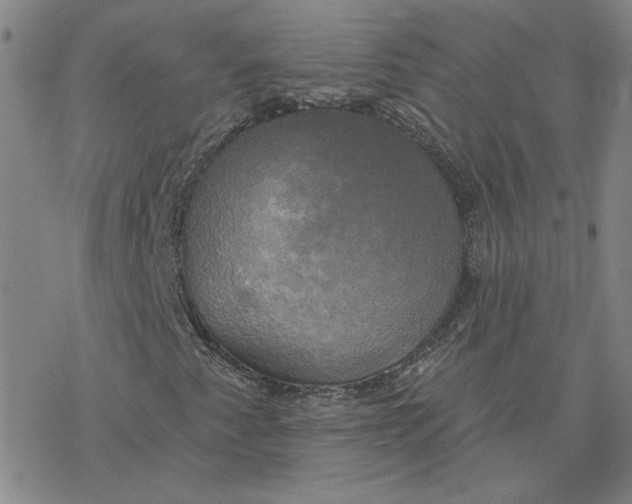 X0000076381345200610271517