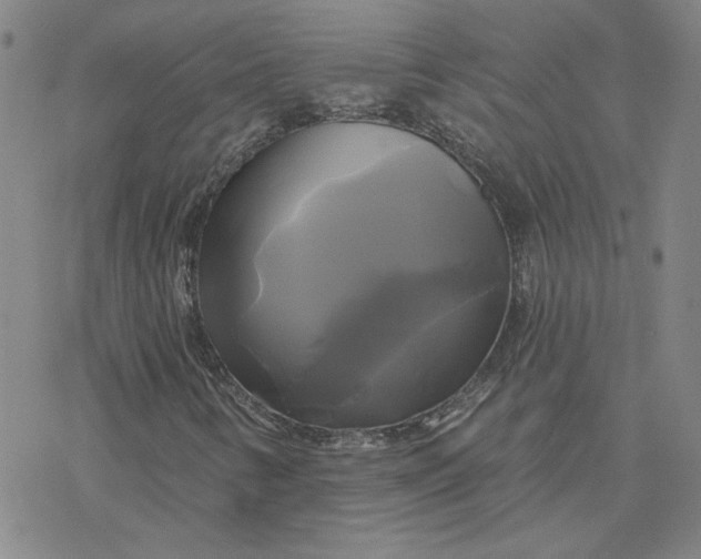 X0000076381346200610271517