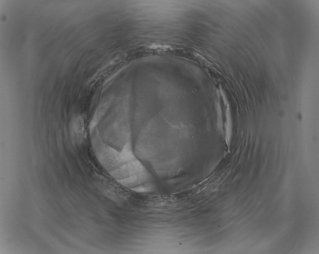 X0000076381347200610271517