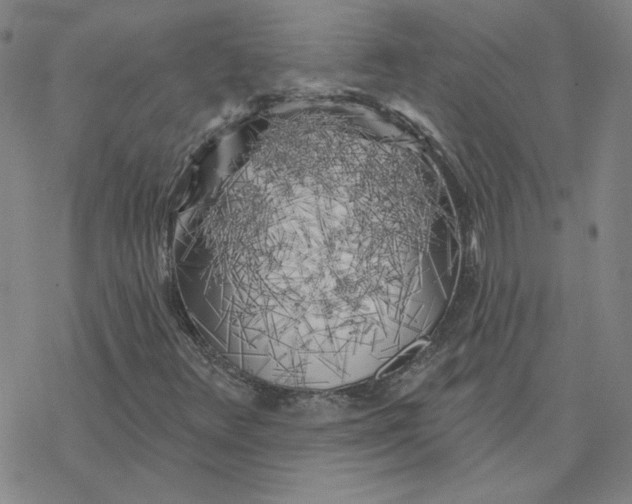 X0000076381348200610271517