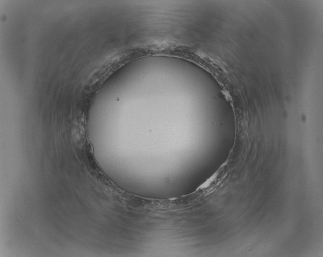 X0000076381349200610271517