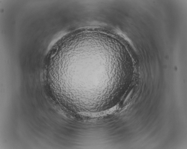 X0000076381352200610271517