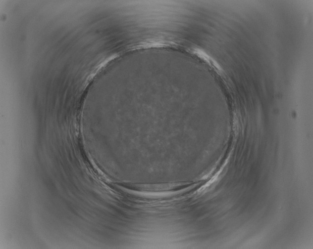 X0000076381353200610271517