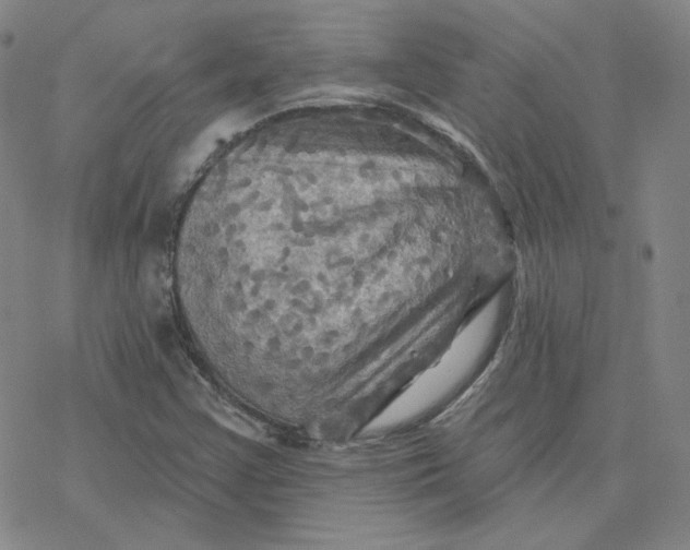 X0000076381355200610271517